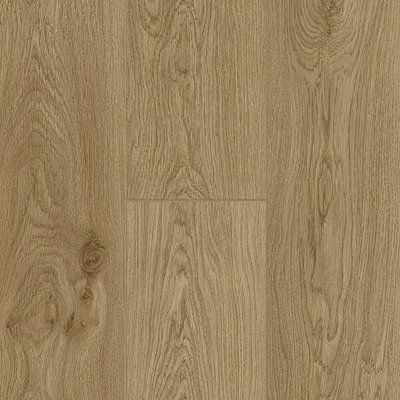 Trendline Daisy Oak К2663м фото